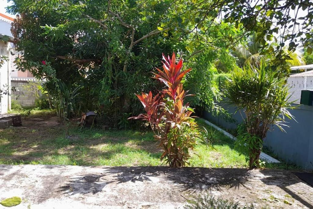 La Petite Maison, Spacieuse, Avec Jardin / Parking Sainte-Rose Bagian luar foto